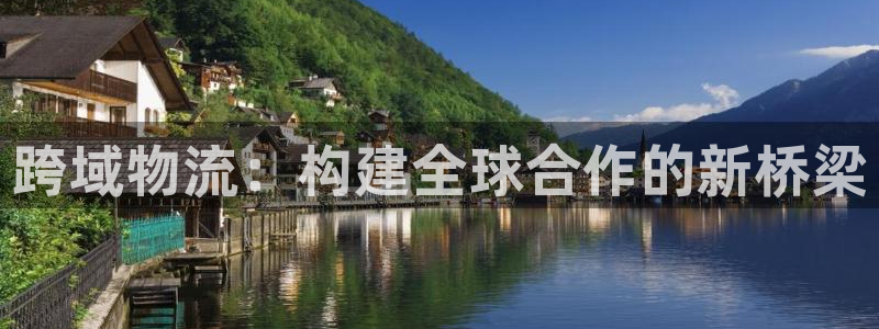 多多28能不能退：跨域物流：构建全球