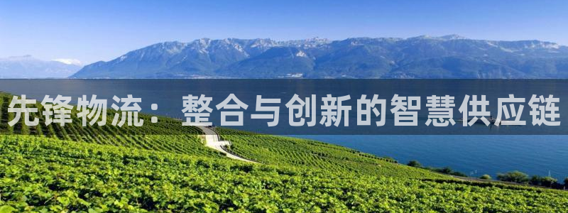 多多28游戏官网入口：先锋物流：整合