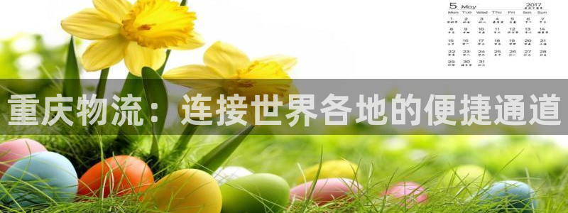 多多28怎么下载教程：重庆物流：连接