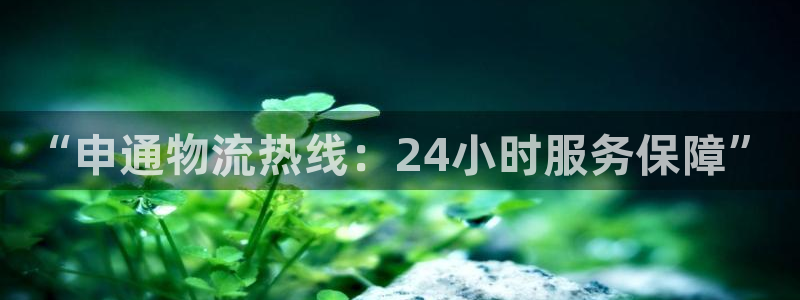 多多28官网入口app：“申通物流热线：24小时服务保障”