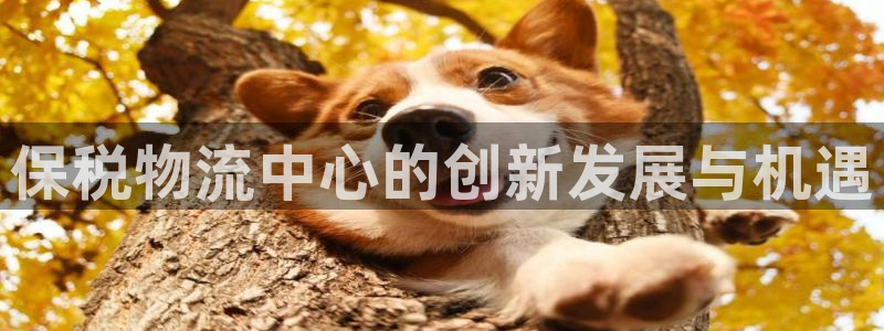多多28官网入口pc正版：保税物流中心的创新发展与机遇