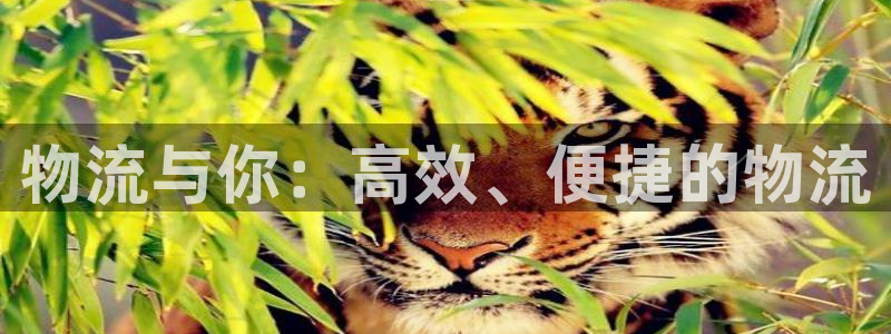 多多28加拿大在线预测