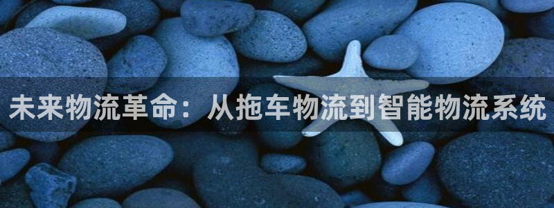 多多28娱乐官网网页：未来物流革命：