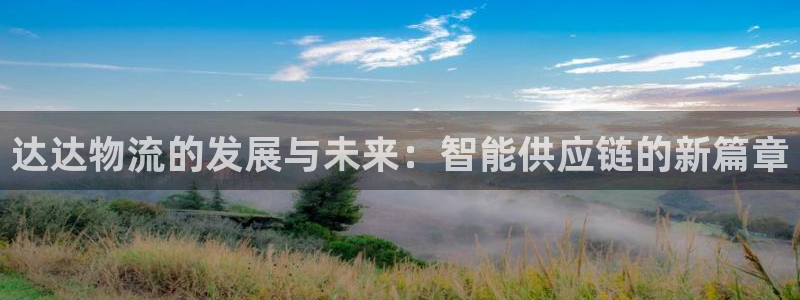 多多28返水怎么算的：达达物流的发展