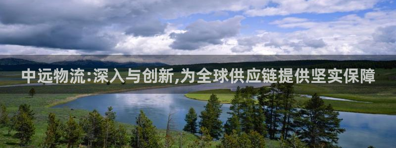 多多28预测网：中远物流:深入与创新