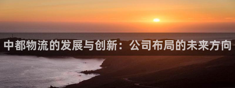 多多28加拿大：中都物流的发展与创新：公司布局的未来方向