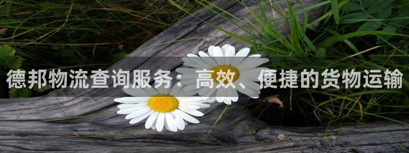 多多28麻将胡了在线试玩：德邦物流查