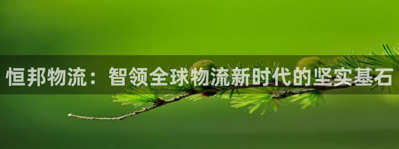 多多28连输10天：恒邦物流：智领全