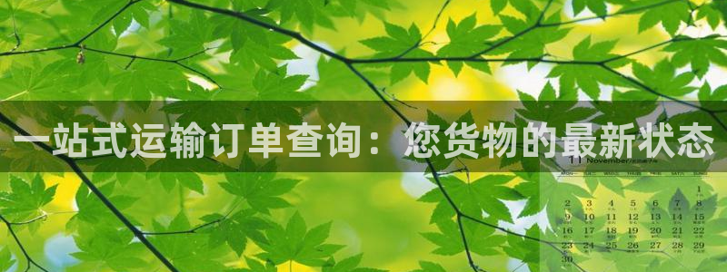 多多28是正规软件吗：一站式运输订单