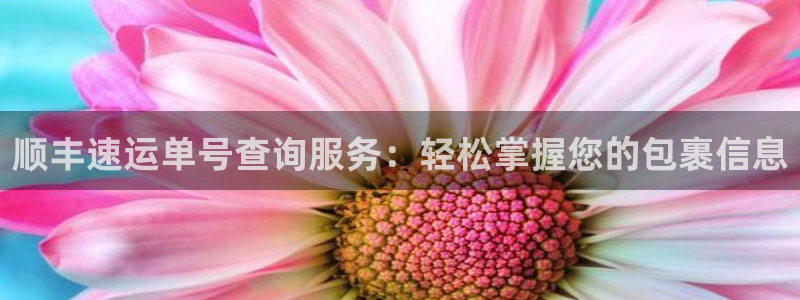 多多28注册登录流程：顺丰速运单号查询服务：轻松掌握您的包裹