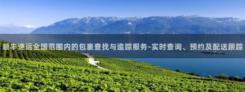多多28链接是什么