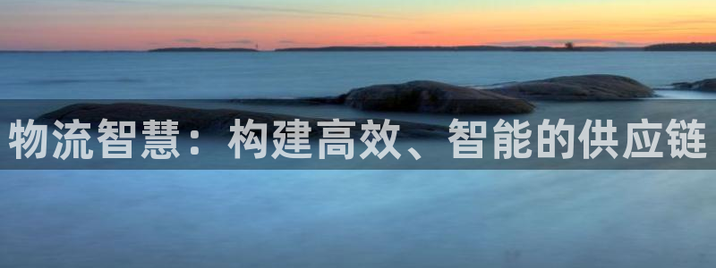 多多28自行车图片大全：物流智慧：构