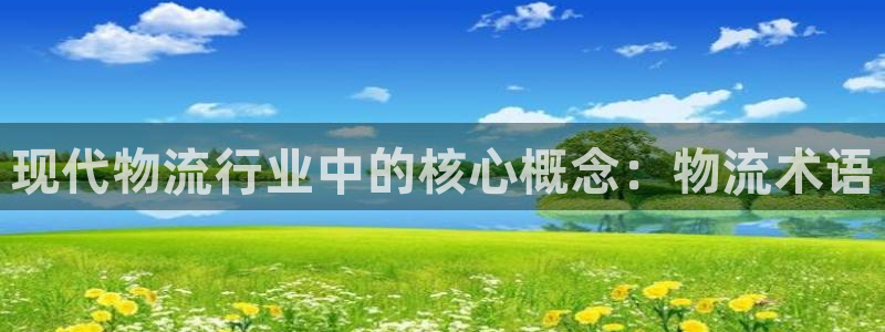多多28官网下载多少钱：现代物流行业