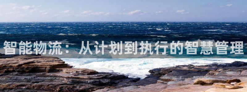 多多28下载二维码怎么弄：智能物流：