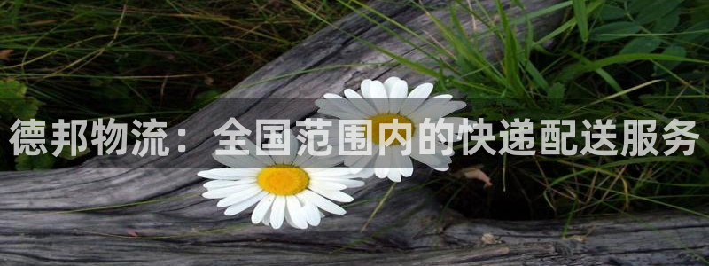 多多28提款一直没到：德邦物流：全国范围内的快递配送服务