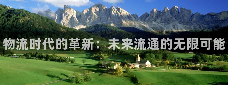 多多28官网下载多少：物流时代的革新