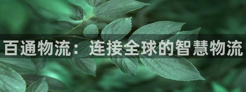多多28黑不黑