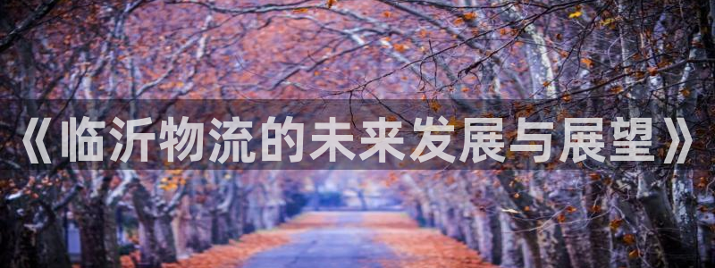 多多28相信品牌的力量：《临沂物流的