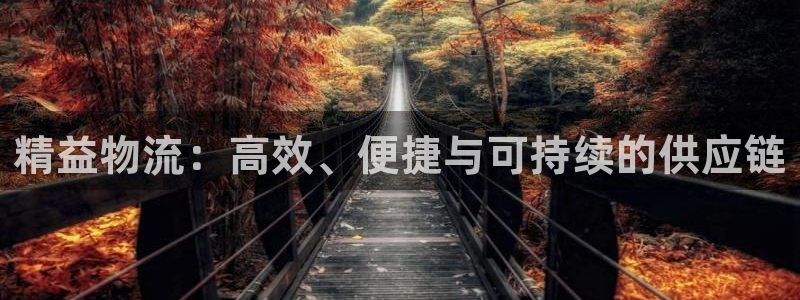 多多28游戏官网入口：精益物流：高效