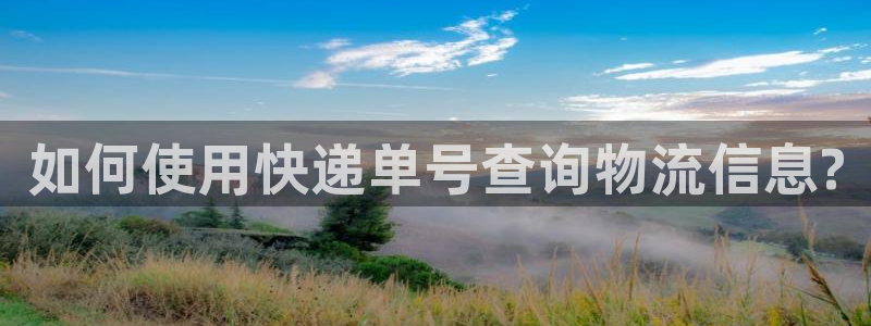 多多28官网下载：如何使用快递单号查