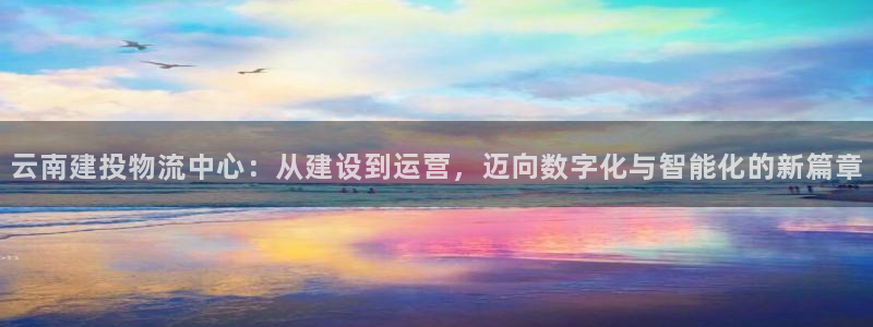 多多28app注册地址:云南建投物流