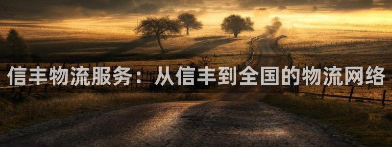 多多28加拿大真假怎么看:信丰物流服