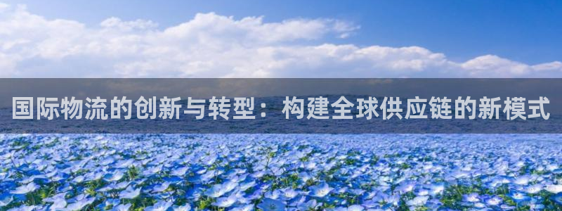 多多28登录:国际物流的创新与转型: