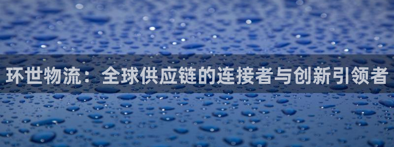 多多28注册流程:环世物流:全球供应