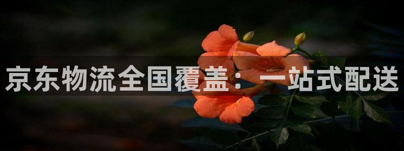 多多28注册网址：京东物流全国覆盖：
