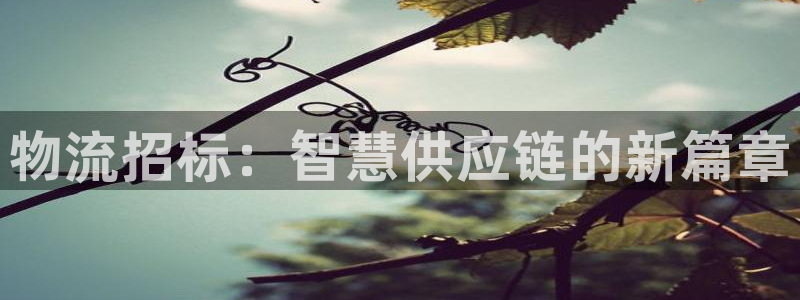 多多28官网入口官网