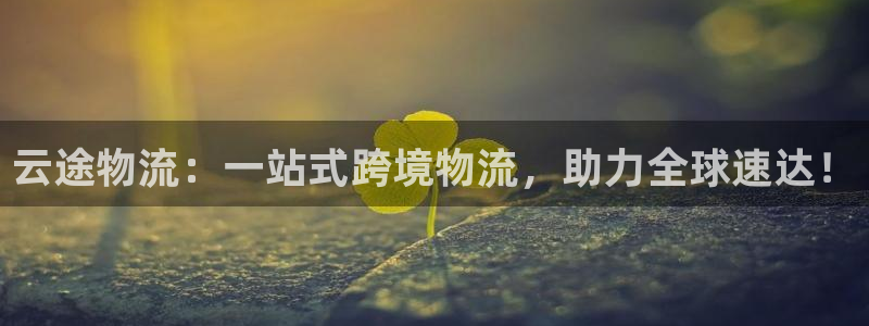 多多28旗下：云途物流：一站式跨境物