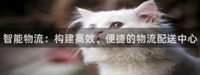 多多28预测加拿大：智能物流：构建高