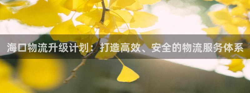 多多28麻将：海口物流升级计划：打造