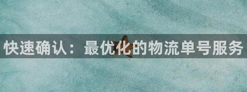 多多28模拟器：快速确认：最优化的物流单号服务